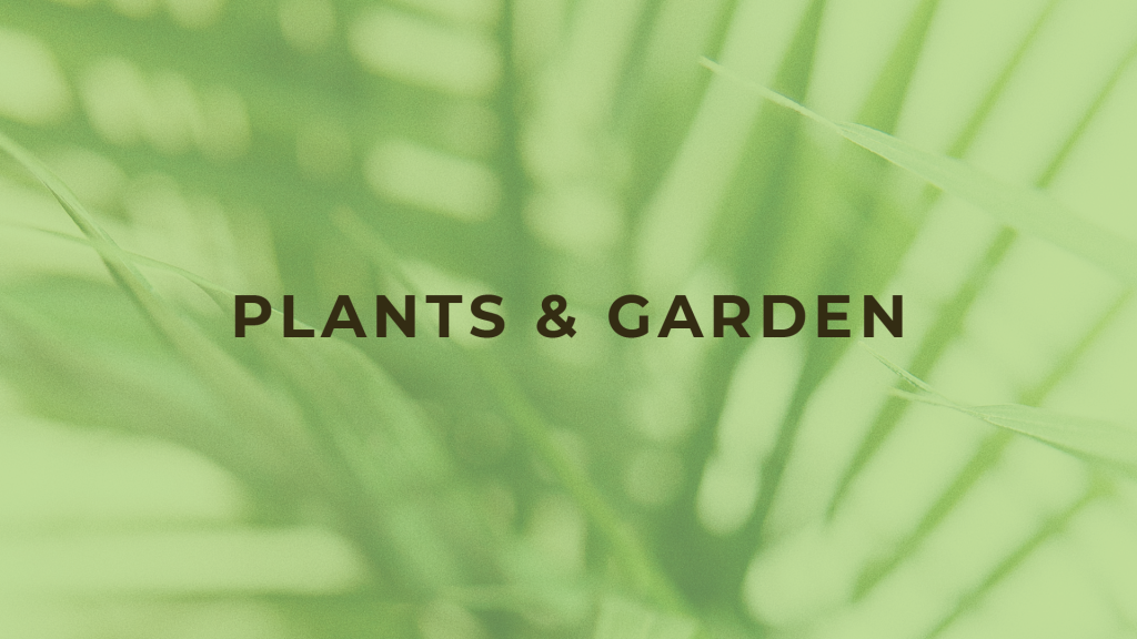 The List > Plants & Garden Kuala Lumpur City