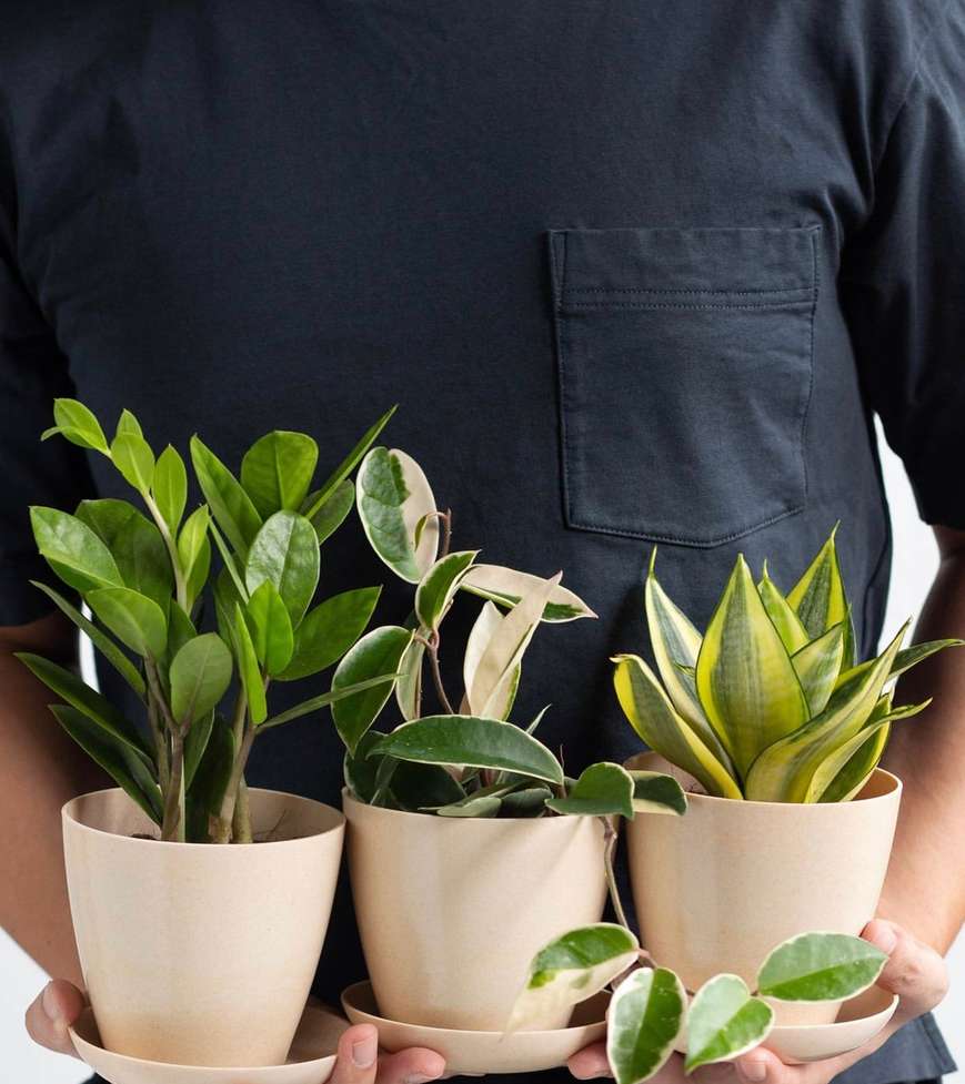 Bloomspace