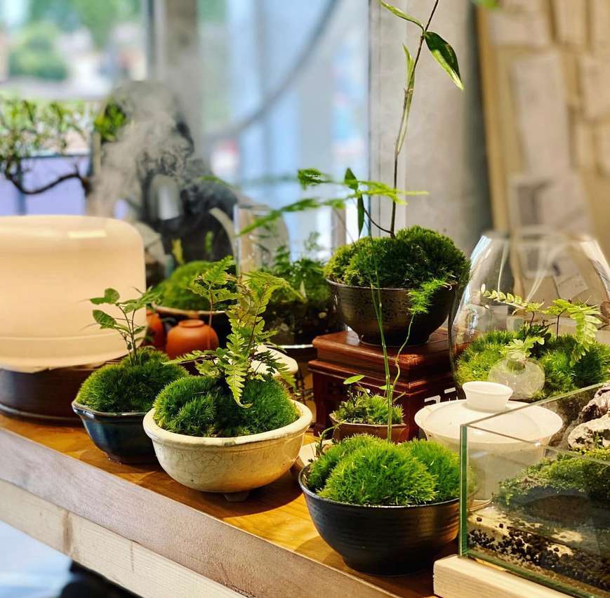 Mossarium