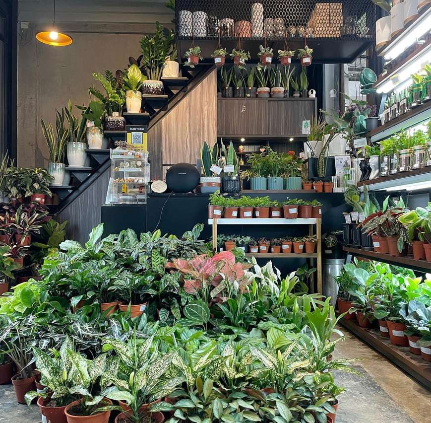 Pulpy Garden