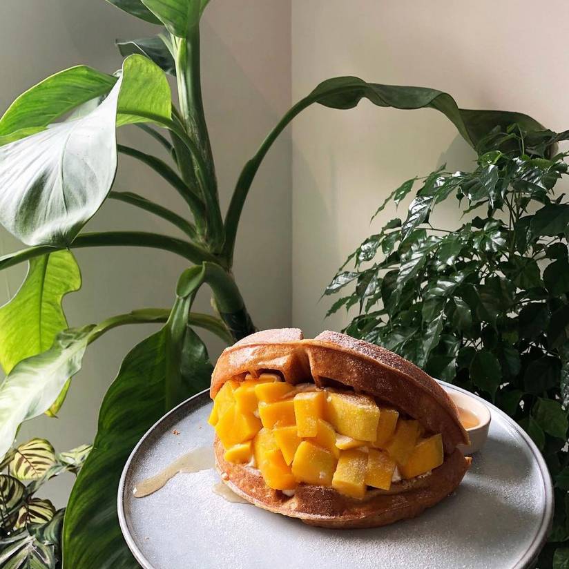 Soft Launch Cafe waffle