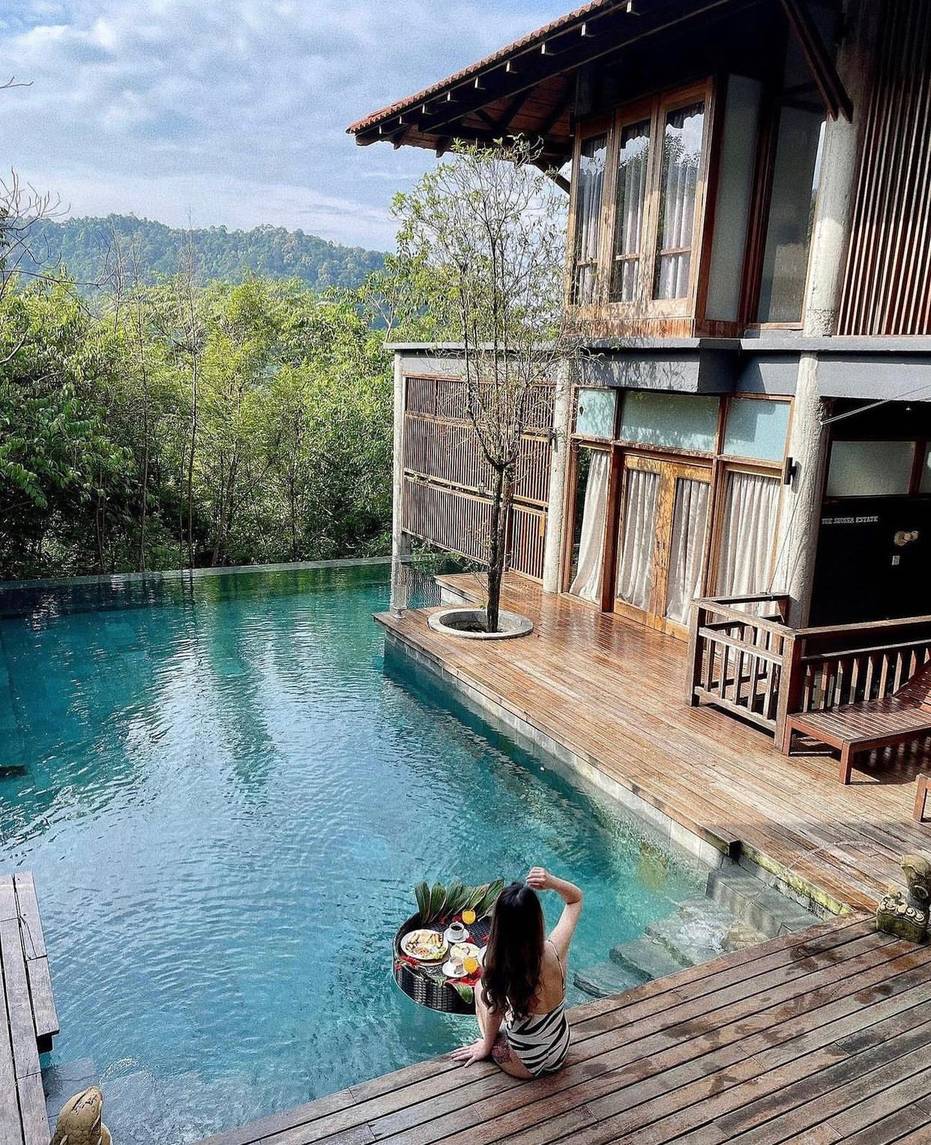 The Shorea