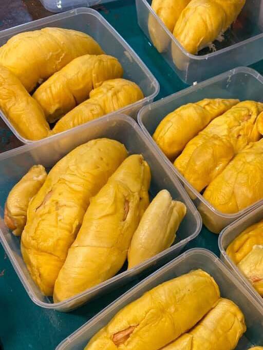 bright yellow durians packed in transparent plastic boxes