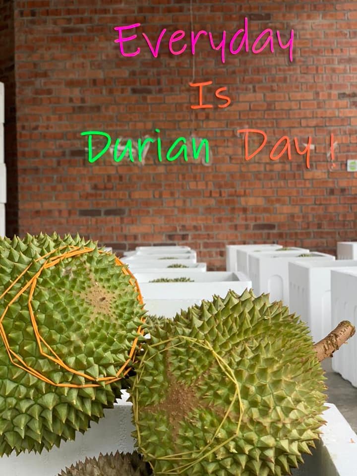 durians stored in white styrofoam boxes with a quote 'Everyday Is Durian Day' on the background wall