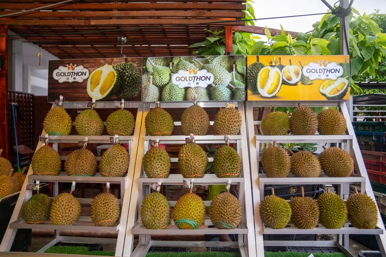 durians displayed on racks