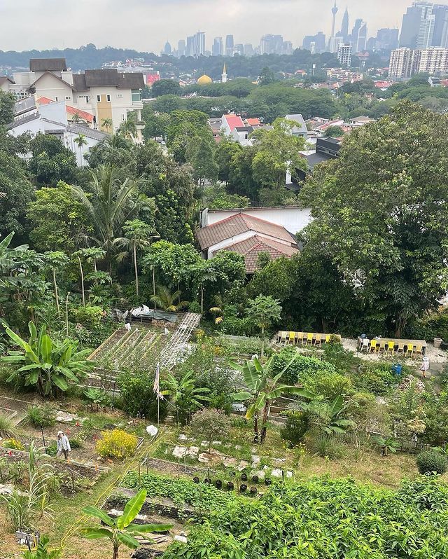 a community garden in Kuala Lumpur city