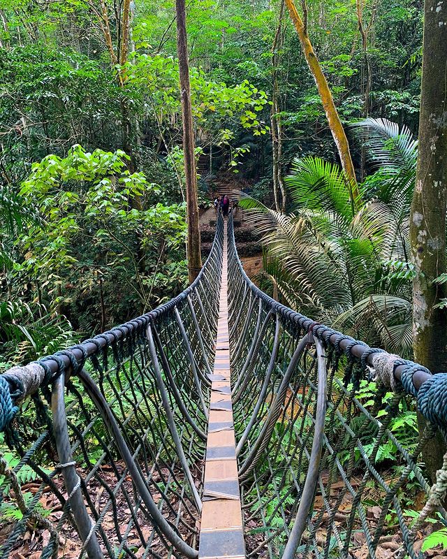 Bukit Gasing hiking trail