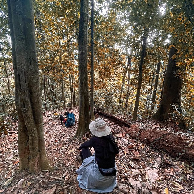 Bukit Kutu