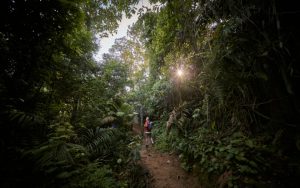 Man hiking in a natural park
