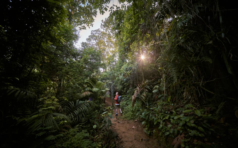 Man hiking in a natural park