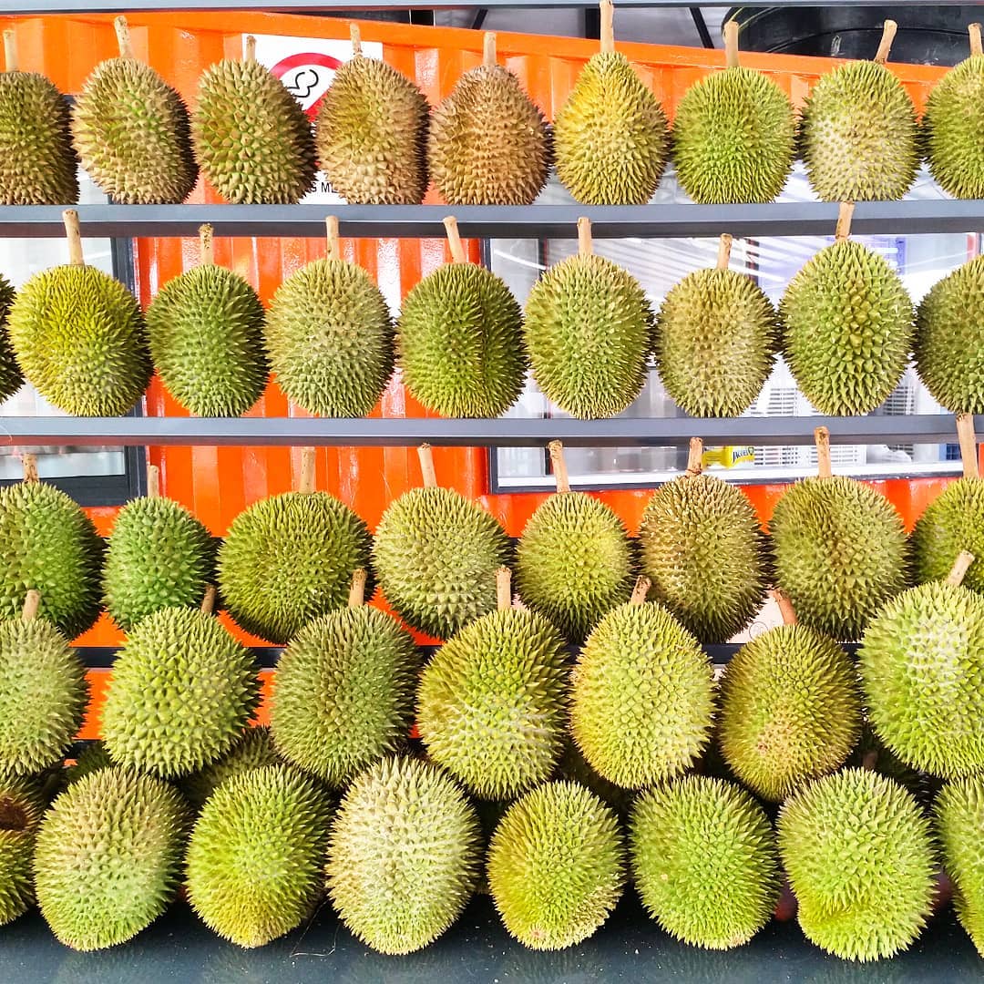 durians displayed on a rack at a stall