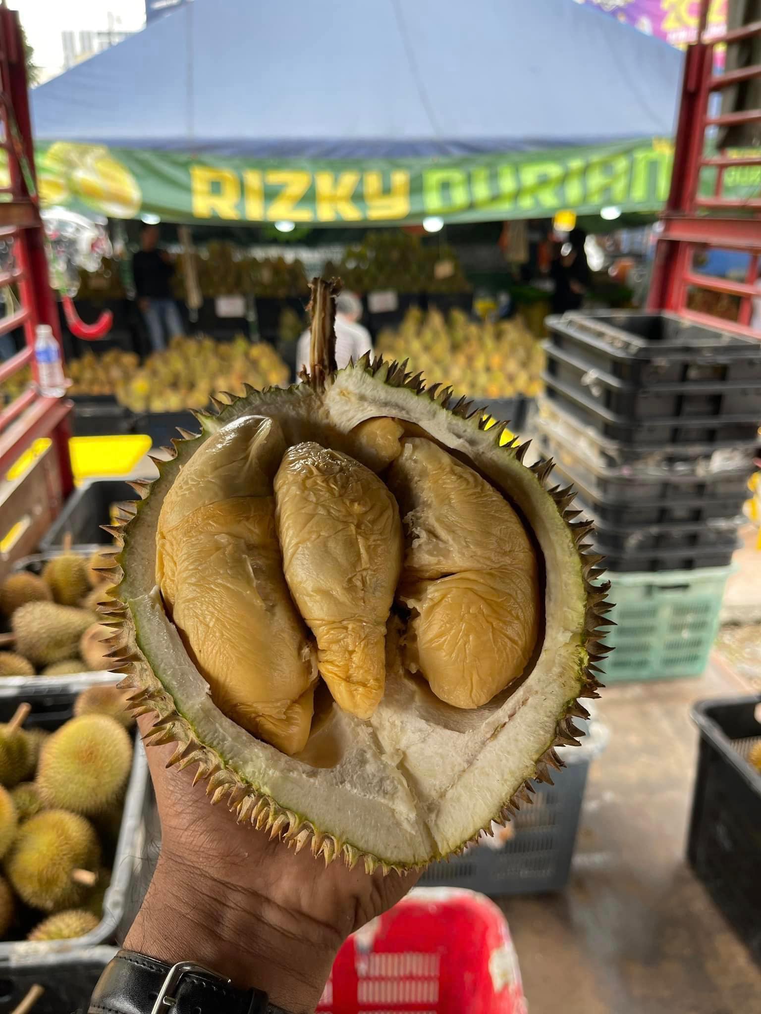 a hand holding a durian which has been opened