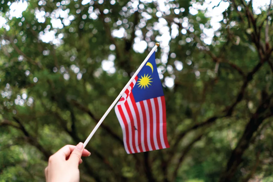 hand holding a small Malaysia flag